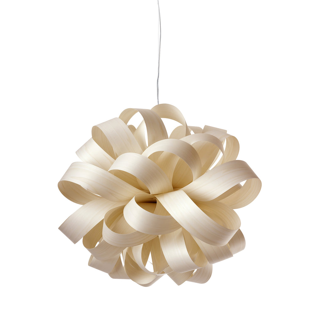 Agatha Bolla Suspension