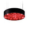 Spiro LED Suspension Light  option Red