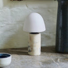 Fuse Portable LED Table Lamp