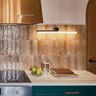 Ambrosia LED Wall Sconce