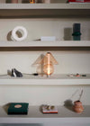 Fragile LED Table Lamp