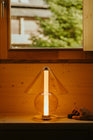 Fragile LED Table Lamp