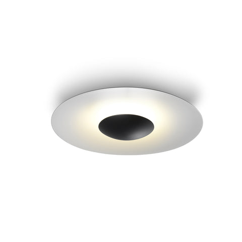 Ginger Outdoor Wall/Ceiling Light