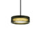 Ringo Fixed LED Pendant Light  option Green