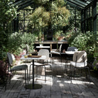Compound Dining Chair