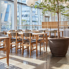 Conscious 3162 Dining Chair