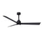 Alessandra Outdoor Ceiling Fan with Light  option Matte Black