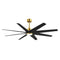Ariella Outdoor Ceiling Fan With Light  option Matte Black
