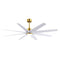 Ariella Outdoor Ceiling Fan With Light  option Matte White