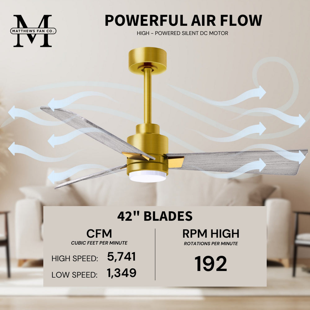 Alessandra Outdoor Ceiling Fan