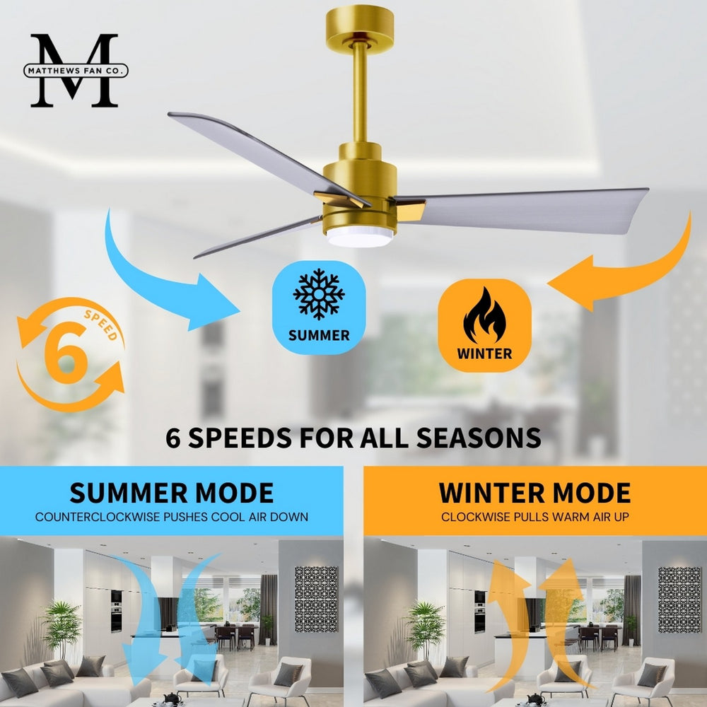Alessandra Outdoor Ceiling Fan