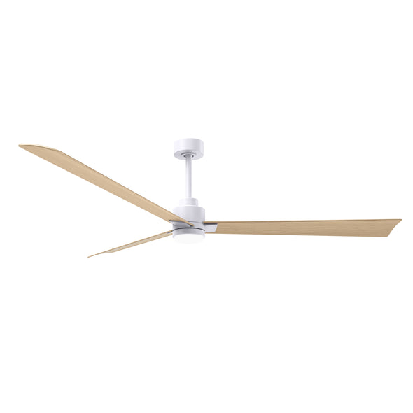 Alessandra Outdoor Ceiling Fan with Light