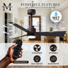 Alessandra Outdoor Ceiling Fan with Light