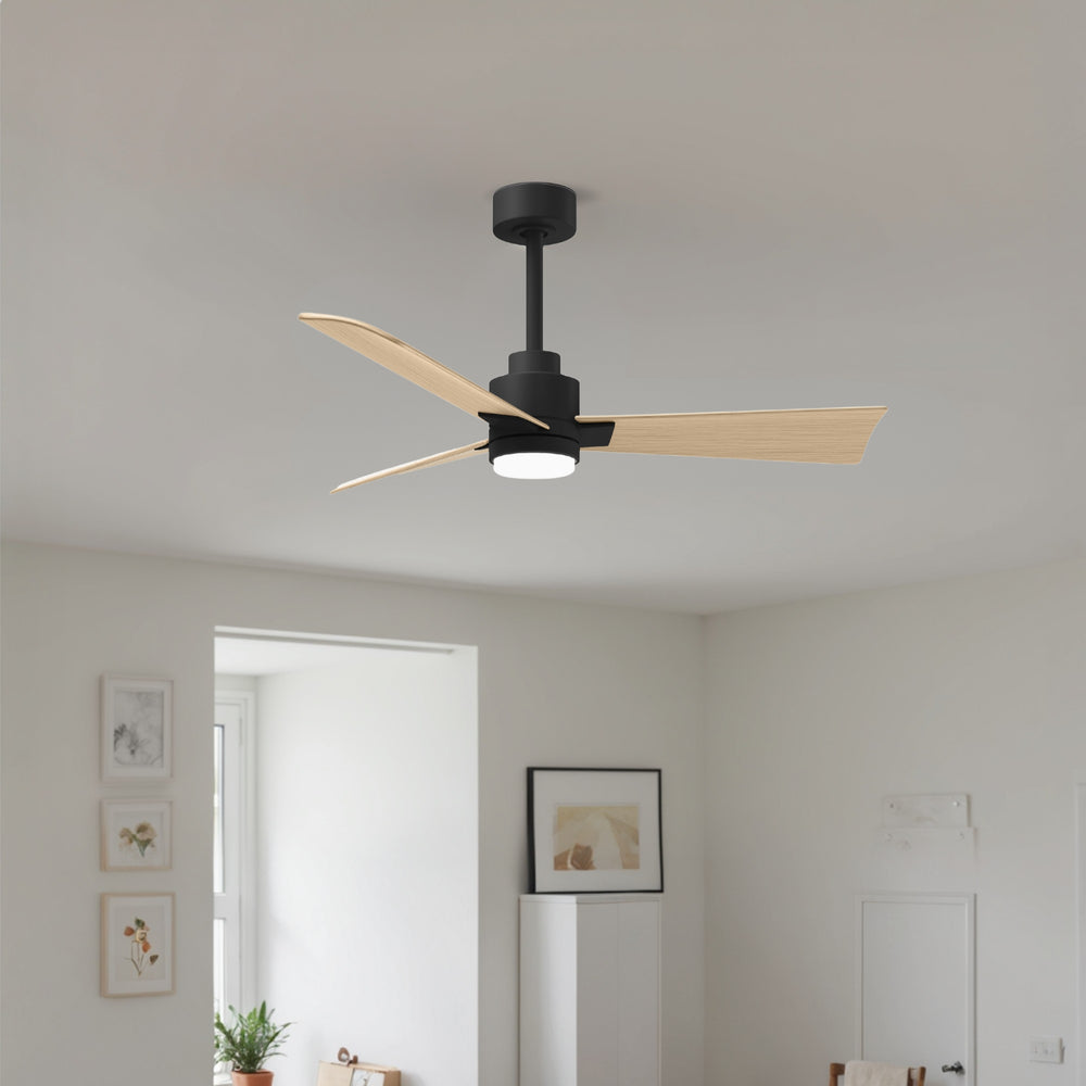 Alessandra Outdoor Ceiling Fan with Light