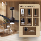 Alessandra Outdoor Ceiling Fan with Light