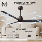 Alessandra Outdoor Ceiling Fan with Light