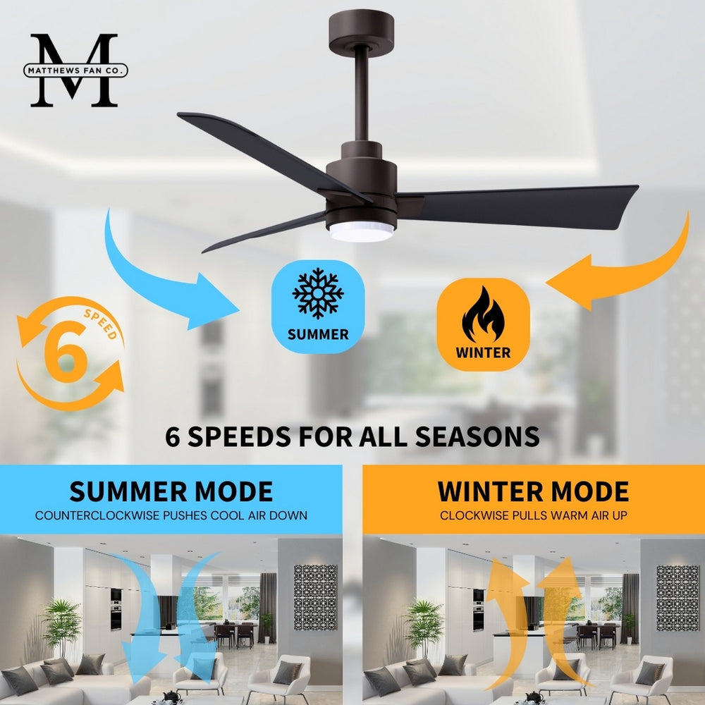 Alessandra Outdoor Ceiling Fan with Light