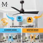 Alessandra Outdoor Ceiling Fan with Light
