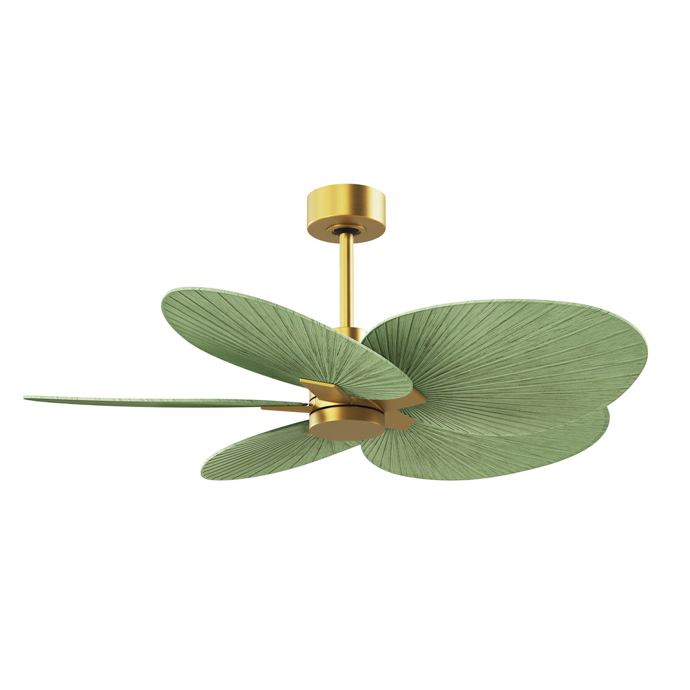 Alessandra Tropical Outdoor Ceiling Fan