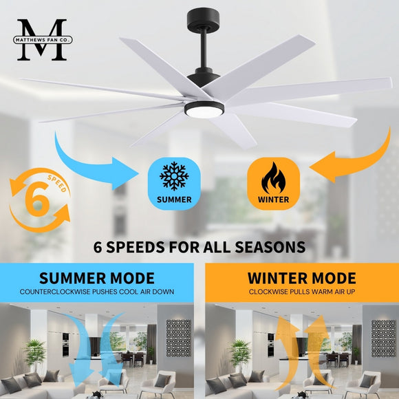 Ariella Outdoor Ceiling Fan With Light