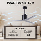 Eliza Outdoor Ceiling Fan