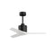 Mollywood Ceiling Fan  option Matte Black / Matte White