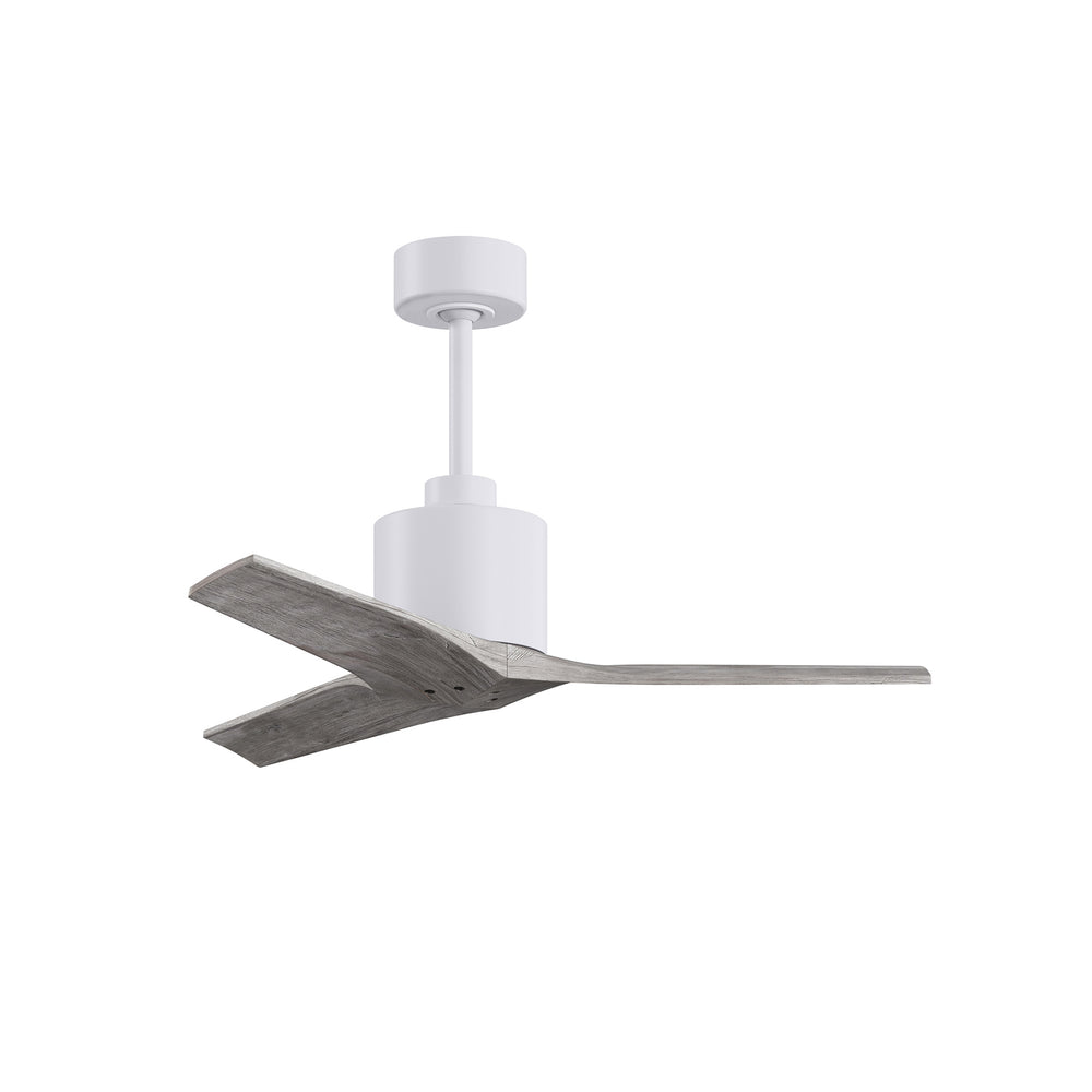 Mollywood Ceiling Fan