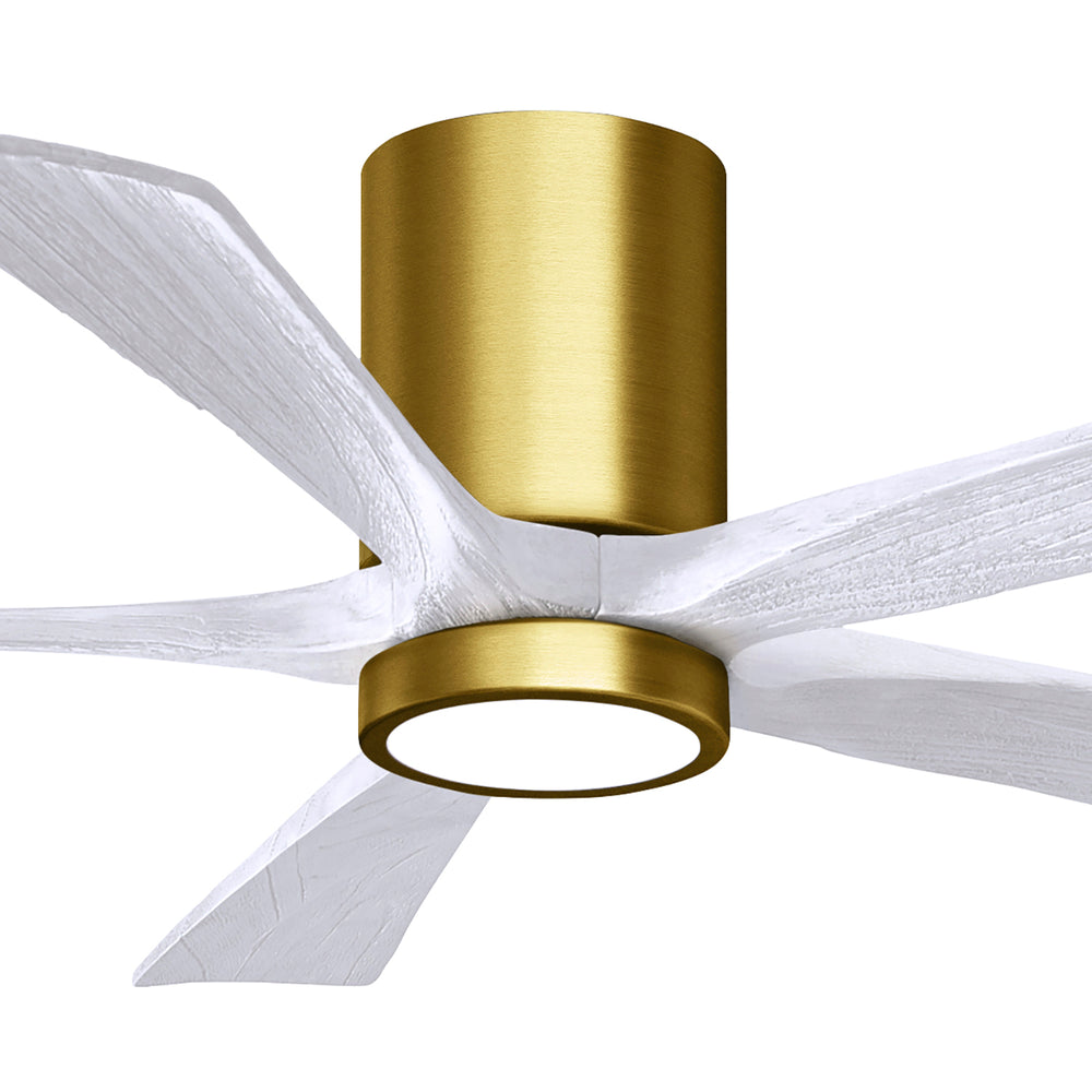 Irene 5HLK Ceiling Fan