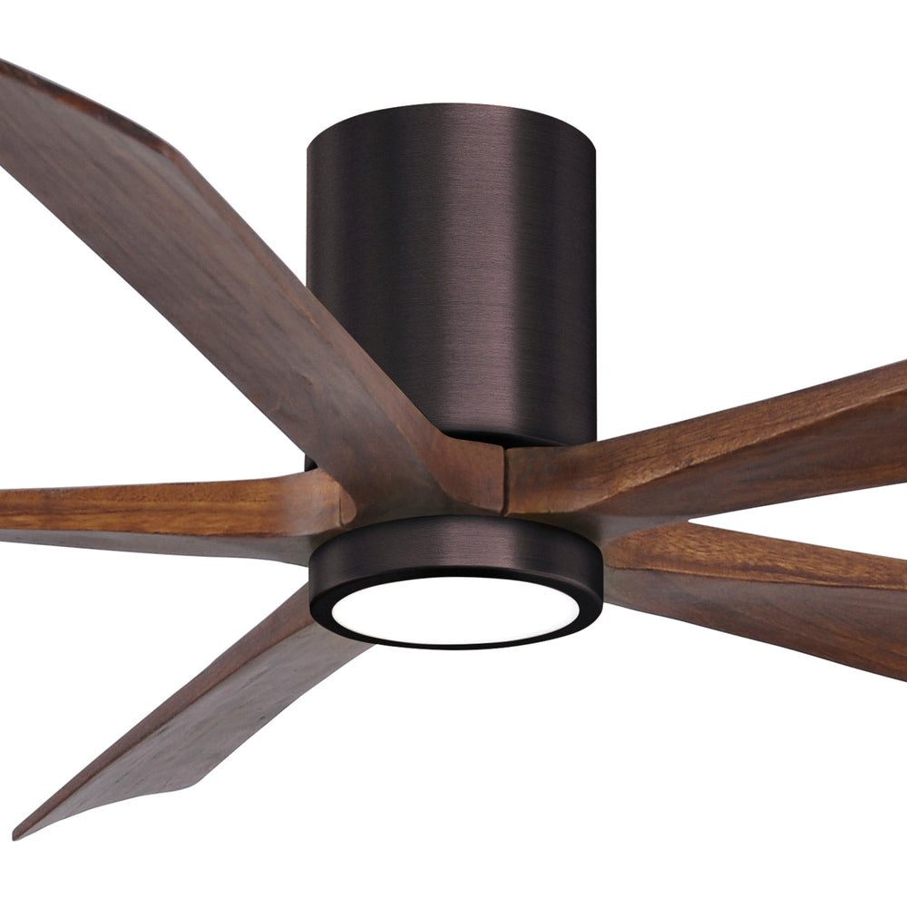 Irene 5HLK Ceiling Fan
