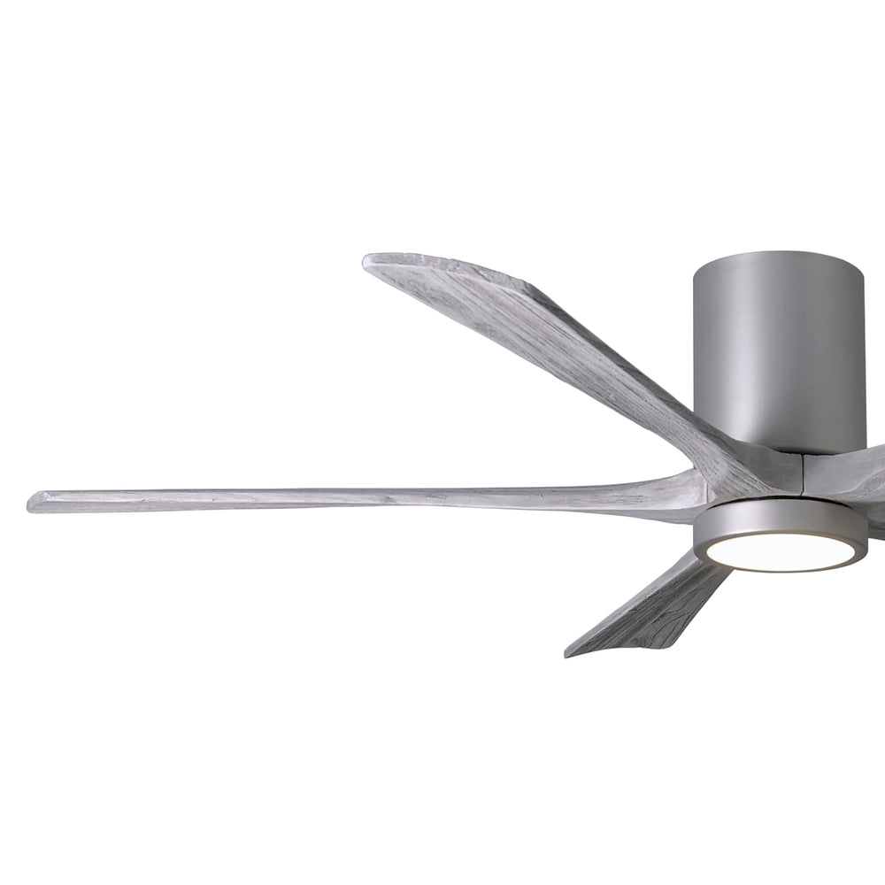 Irene 5HLK Ceiling Fan