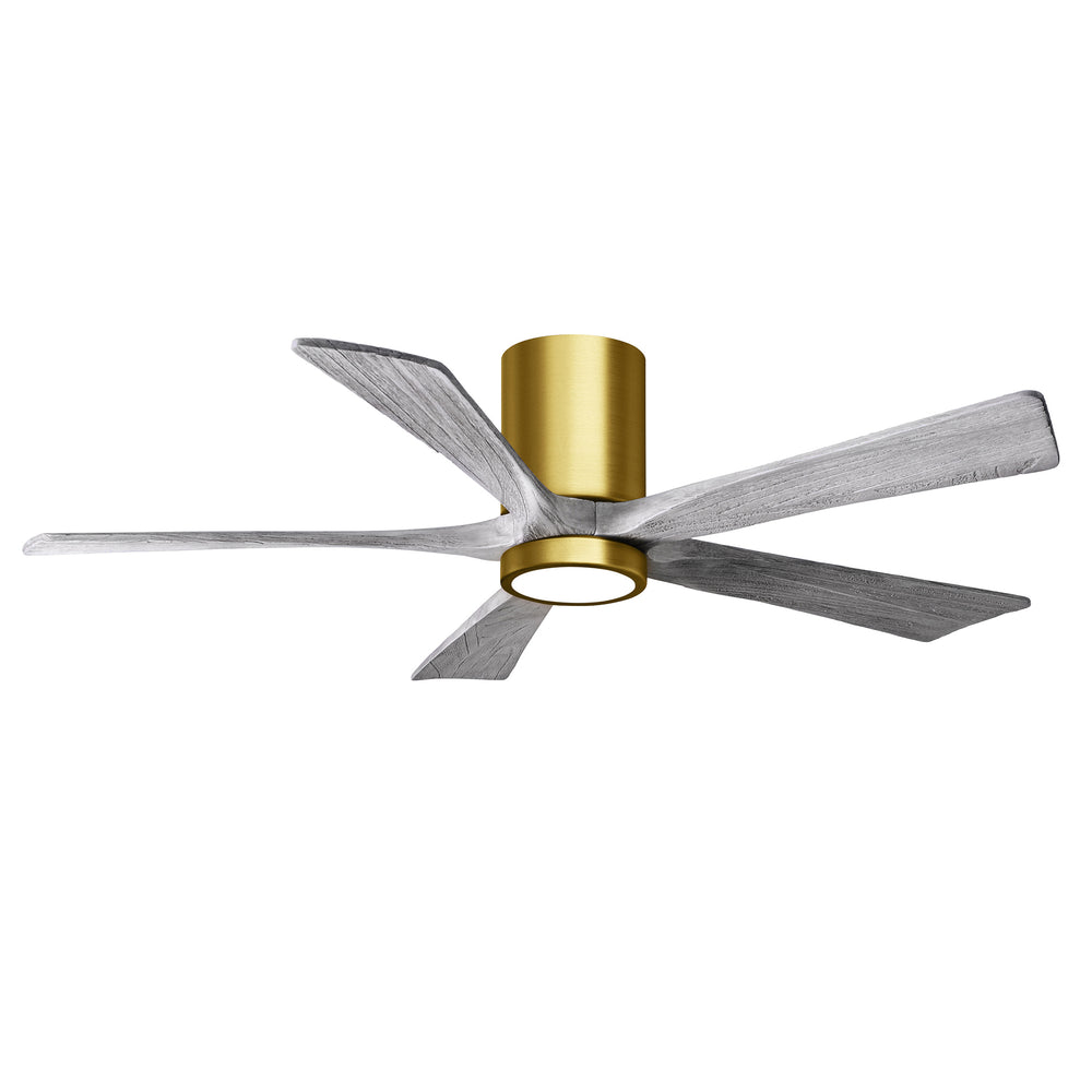 Irene 5HLK Ceiling Fan