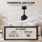 Nan Ceiling Fan