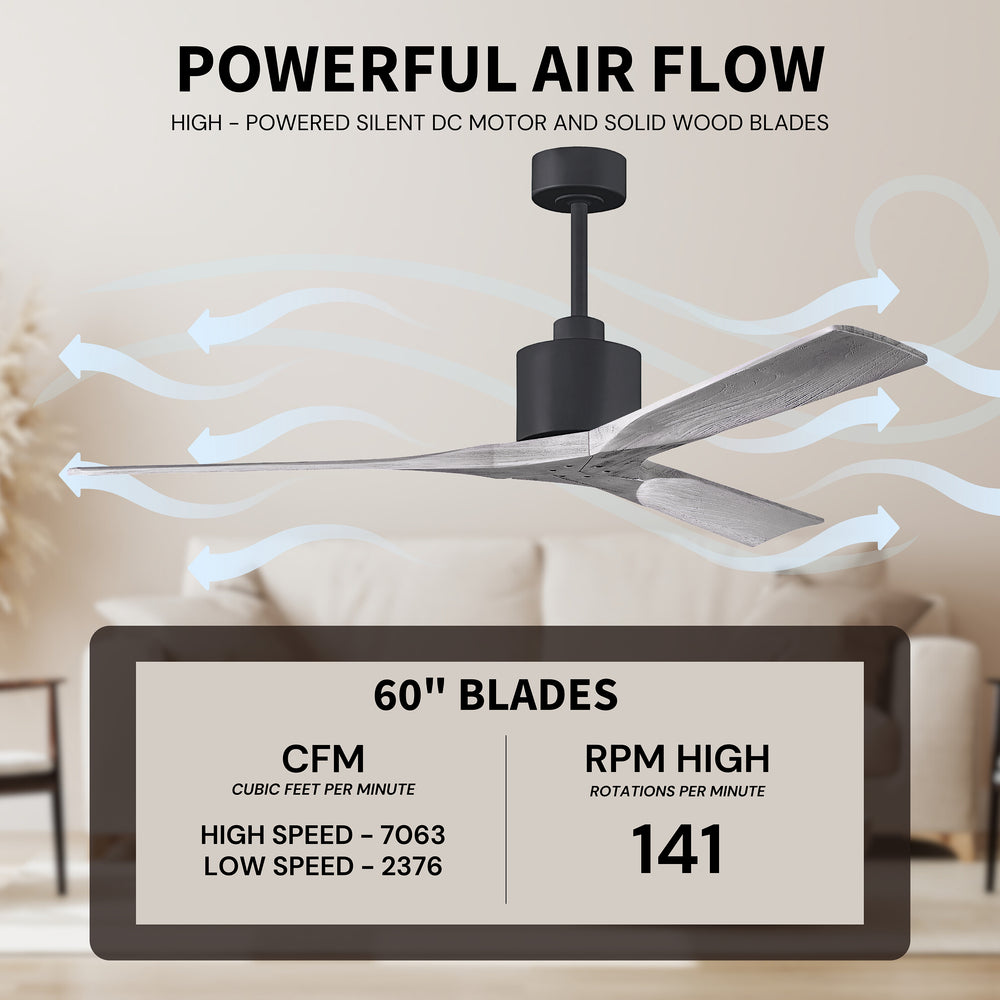 Nan Ceiling Fan
