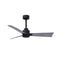 Alessandra Outdoor Ceiling Fan  option Matte Black