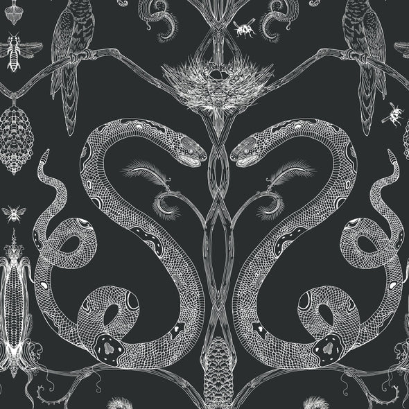 Snake Party Wallpaper Sample Swatch
