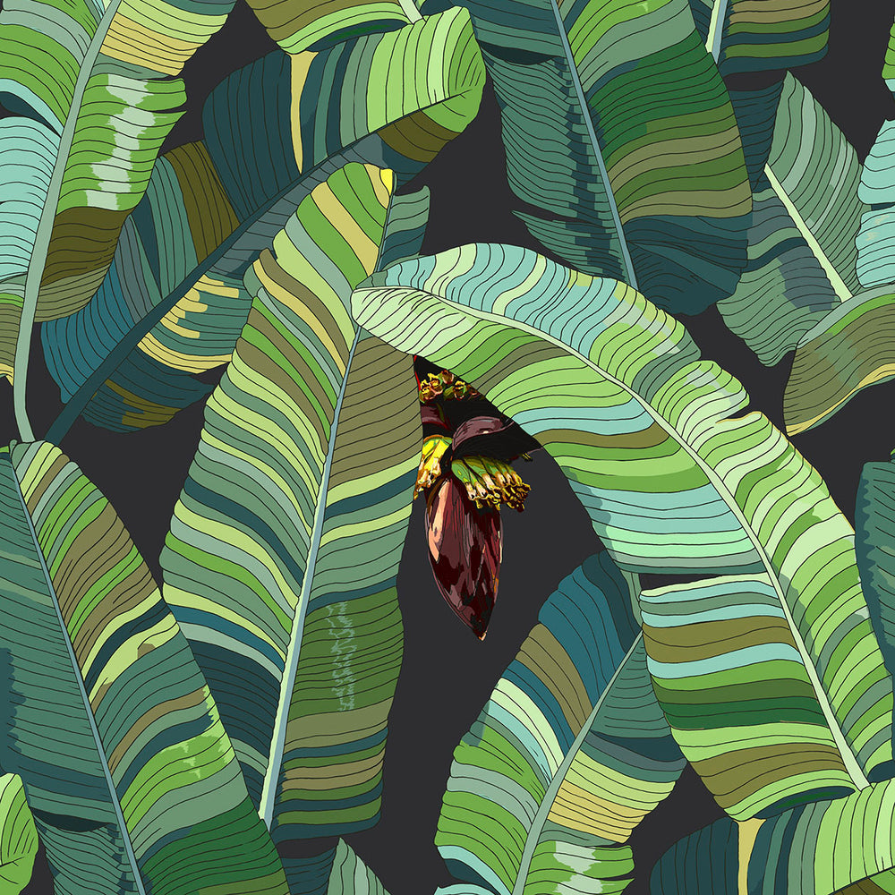 Banana Palm Dream Wallpaper