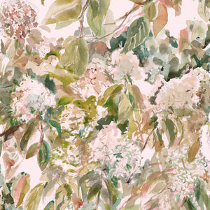 Hydrangea Garden Wallpaper