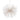 Confluence Pendant Light