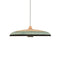 Grass Pendant Light  option Blue