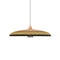 Grass Pendant Light  option Green