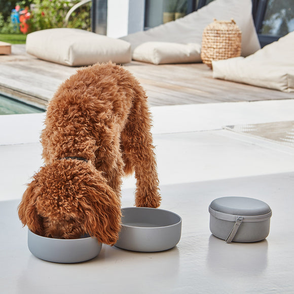 Bento Travel Bowl & Food Container