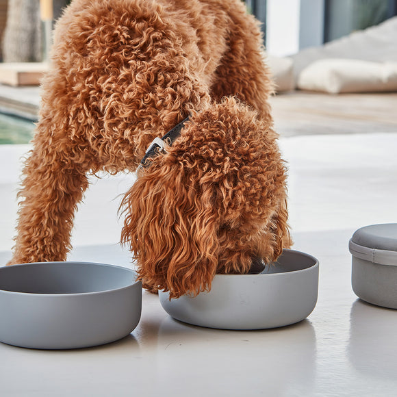 Bento Travel Bowl & Food Container