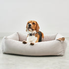 Comodo Box Dog Bed