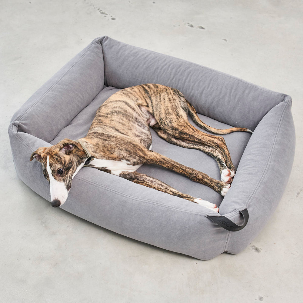 Comodo Box Dog Bed