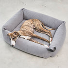 Comodo Box Dog Bed