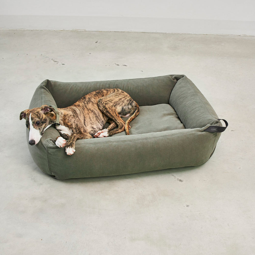 Comodo Box Dog Bed