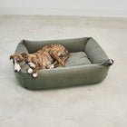 Comodo Box Dog Bed
