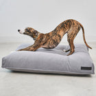 Comodo Dog Cushion
