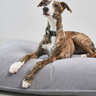 Comodo Dog Cushion
