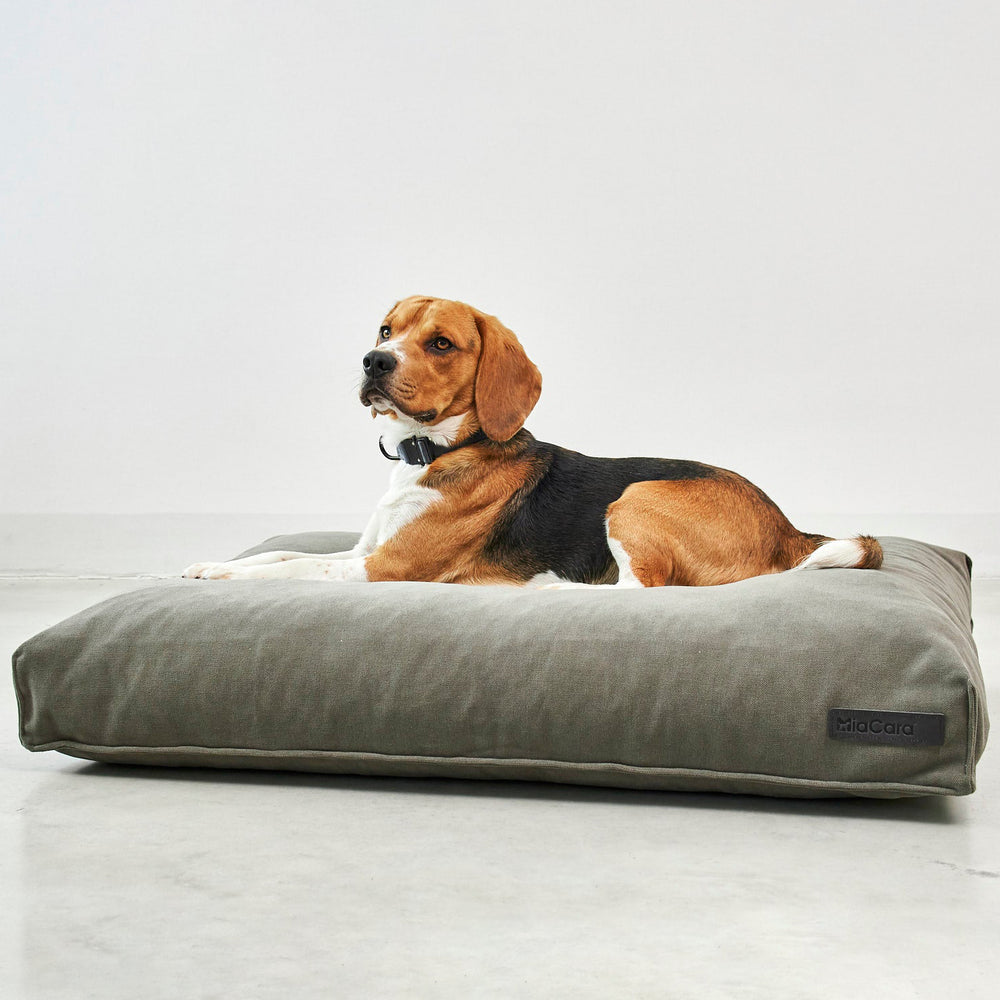 Comodo Dog Cushion